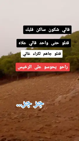 #تيك_توك