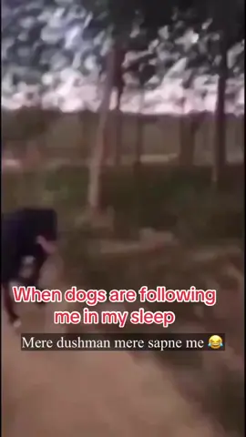 When dogs are following me in my sleep🤣🤣🤣#funny #tiktoklive #viralvideos #foryoupage❤️❤️ 