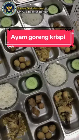 Ubur-ubur ikan lele, mau request apa lee?🍱 @badangizinasional.ri  #badangizinasional  #makanbergizigratis 
