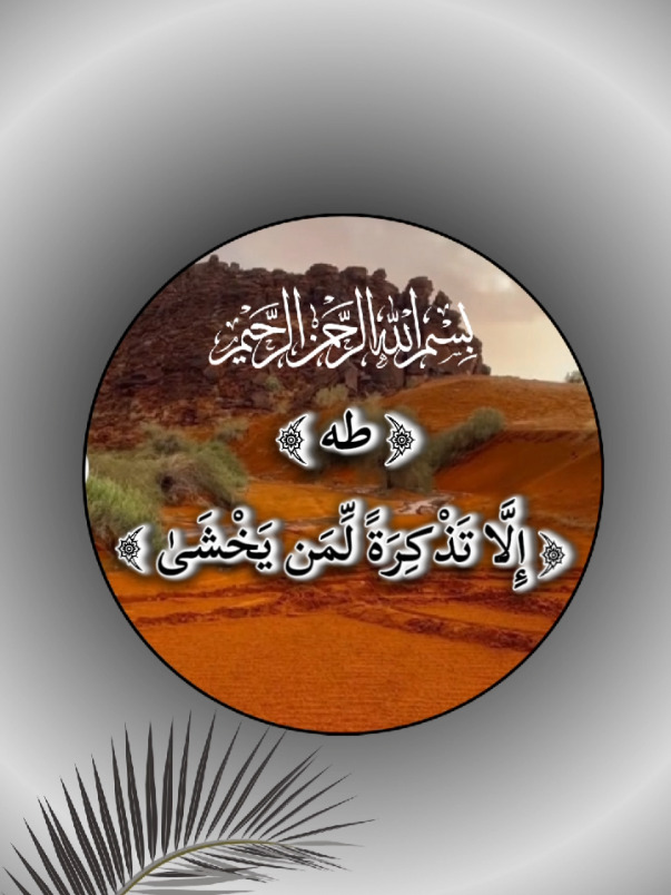 #طه #مَا_أَنزَلْنَا_عَلَيْكَ_الْقُرْآنَ_لِتَشْقَىٰ👆 #قران_كريم #quran  #خشوع_طمأنينه_راحه_للقلب 