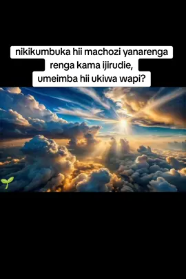 daa Serengeti where u are ?#creatorsearchinsights #fypage #tanzaniantiktok🇹🇿 #lyno_mahil #tiktokshopindonesia 