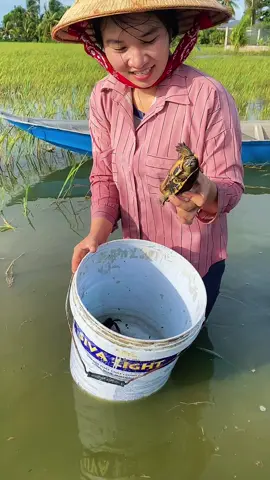 Về quê lập nghiệp từ con số 0 ở tuổi 25#lananh #radong #cuocsongmientay #xuhuong #fyp 