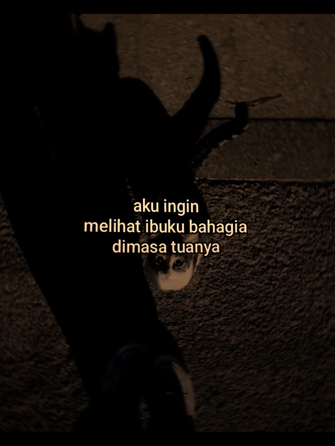 #quotes 
