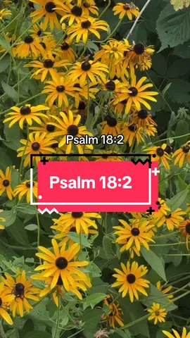 God’s word for today: Psalm 18:2 – the Lord is my rock, my fortress, and my deliverer. If life feels unstable, this is your encouragement to stand firm on the one who never changes.