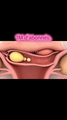 #100k #1millionaudition #100kviews #1millionviews #tiktokallemagne🇩🇪  Tombez enceinte rapidement, en moins de trois semaines, grâce à l’utilisation de notre kit de fertilité naturel. 🌱✨ Rejoignez-nous dès maintenant sur WhatsApp pour bénéficier d’un traitement complet et définitif, conçu pour vous aider à concevoir et à mettre fin, une fois pour toutes, aux difficultés liées à l’infertilité. Nos kits de grossesse, 100 % naturels et sans effets secondaires, sont spécialement formulés pour : Stimuler l’ovulation et réguler le cycle menstruel. Préparer l’organisme à une grossesse saine et durable. Aider les couples à concevoir naturellement, même après plusieurs échecs. Ne laissez plus l’attente vous décourager. Contactez-nous dès aujourd’hui et commencez votre parcours vers la maternité en toute sérénité chez docteur prophète Romaric. 👶💖