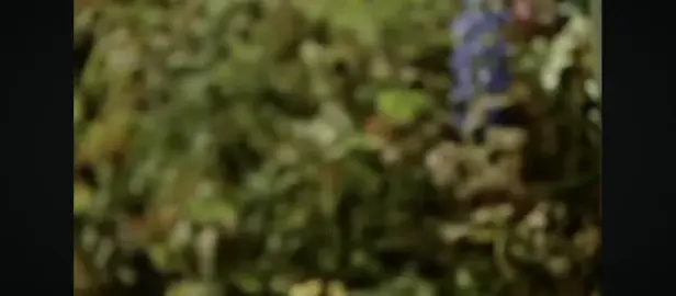 🗿