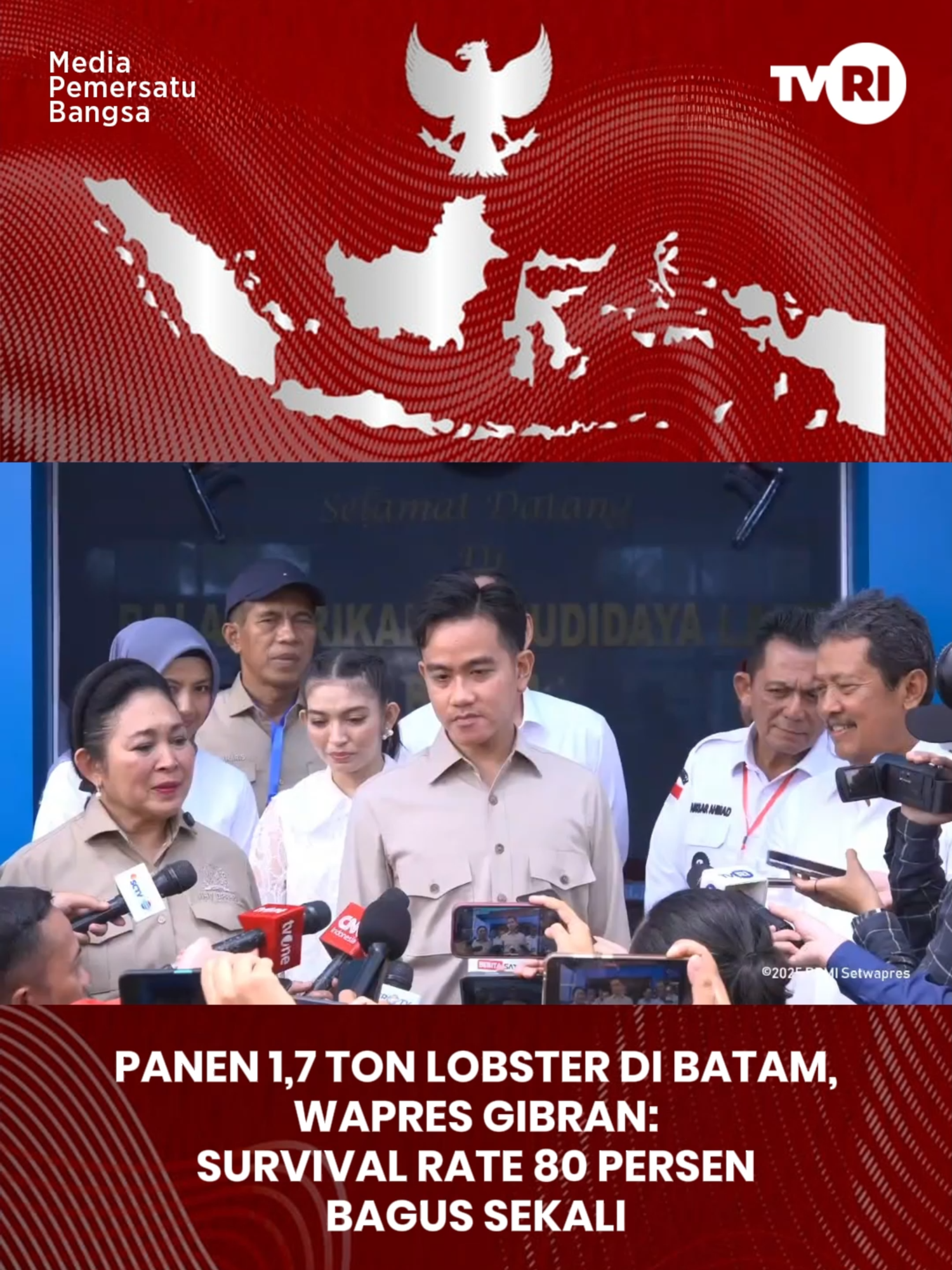 Panen 1,7 Ton Lobster di Batam, Wapres Gibran: Survival Rate 80 persen Bagus Sekali. #TVRI #TVRINasional #MediaPemersatuBangsa