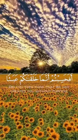 { أَفَحَسِبْتُمْ أَنَّمَا خَلَقْنَاكُمْ عَبَثًا وَأَنَّكُمْ إِلَيْنَا لَا تُرْجَعُونَ } ــ سورة المؤمنون، الآية 115 #سورة_المؤمنون #قرآن #اسلاميات  #تلاوة_خاشعة #اكسبلور 