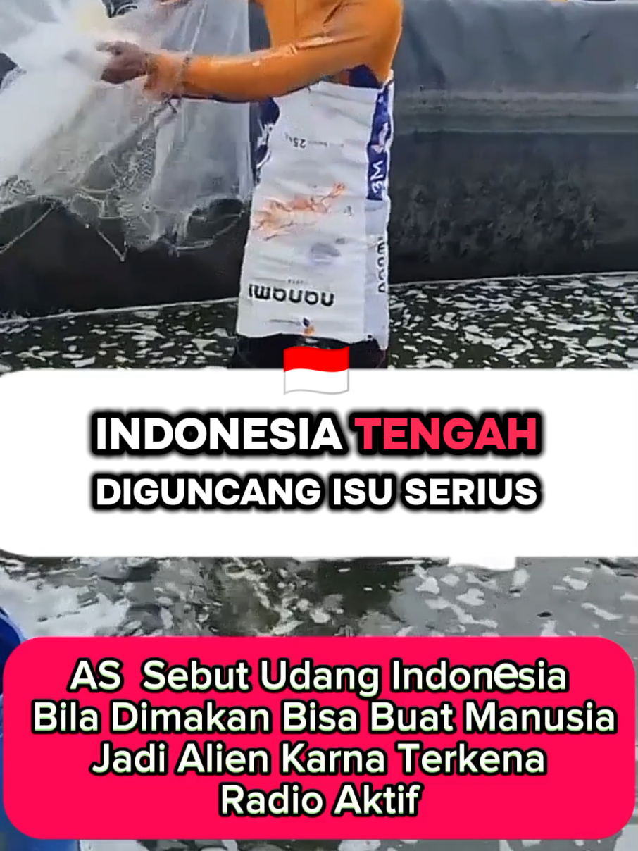Udang Indonesia Mengantung Radio Aktiv, kalau dimakan Bisa jadi Alien, info Yang Lagi Viral Di AS #udang #udangindonesia #as #viral #trending 