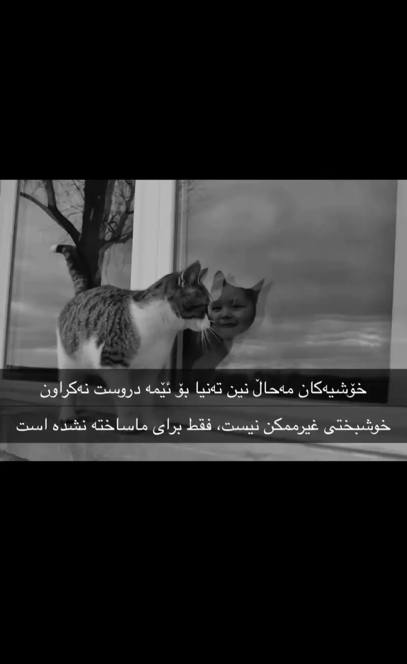 #acvvvv✨? #tiktok #ahmadxalil #ئەکتیڤبن🥀🖤ـہہـ٨ــہ #actives?            @RekOo 🖤 @TikTok @ferrari 
