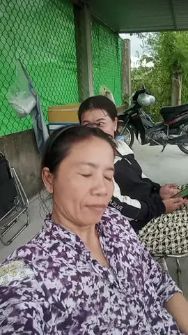 ta nói dòng họ nhà ông Cậu tui thương con nhỏ này dễ sợ 