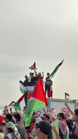 العالم كلو بلادي و تونس 🇹🇳 قلب العالم 🌎  جاهزين للإبحار معانا ليوم ؟ 🚢🇵🇸 #globalsumudflotilla  #maghrebsumudflotilla