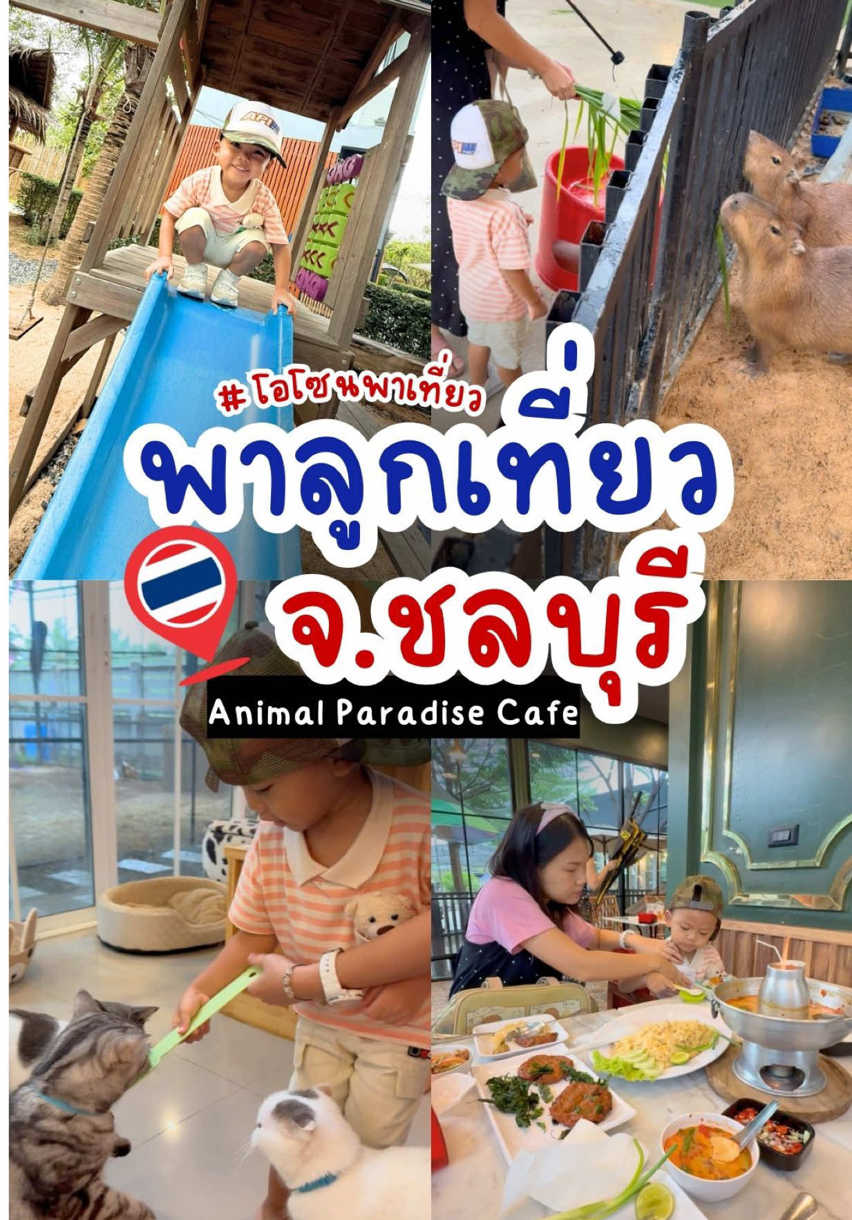 “พาลูกเที่ยวที่ไหนดี?” 🤔 👉 มาที่ Animal Paradise Cafe ครบทั้งสัตว์น่ารัก อาหาร เครื่องดื่ม และมุมเล่นเด็ก เรียนเชิญนะครับสำหรับใครที่มองหาคาเฟ่น่ารักน่ารักสไตล์ครอบครัว จ.ชลบุรี ##Ozone##animalparadisecafe##familycafe#พ#พาลูกเที่ยวค#คาเฟ่เด็กท#ที่เที่ยวครอบครัวF#FamilyDayพ#พาลูกไปเที่ยวไหนดี##คาเฟ่น่ารัก##kidscafe