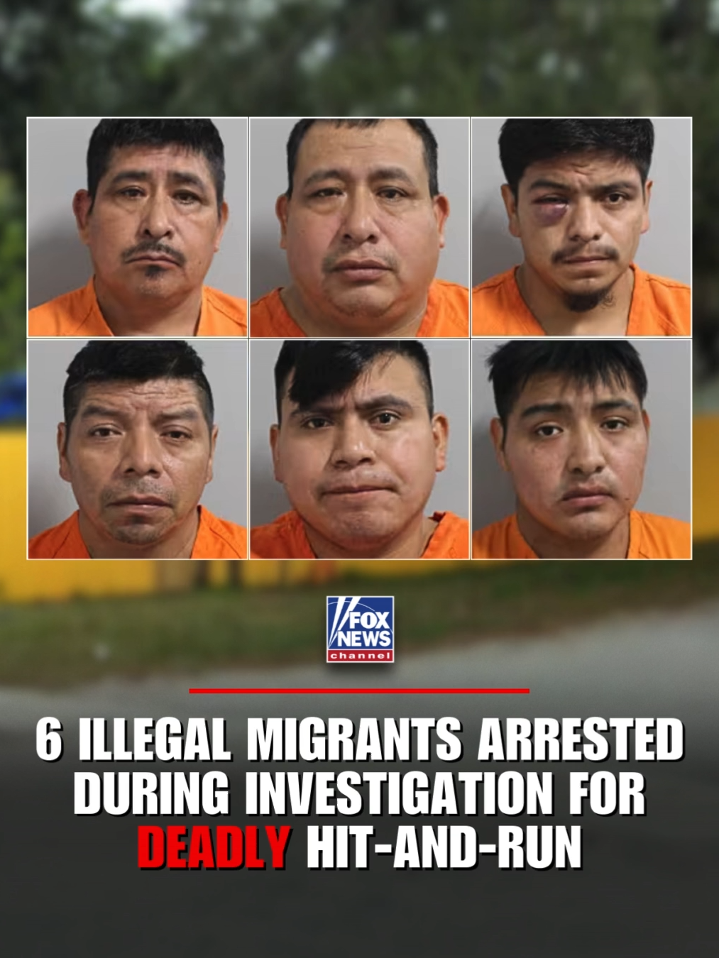 IMMIGRATION BUST: What began as an investigation into a deadly hit-and-run at a trailer park party ended with police discovering six Guatemalan men in the U.S. illegally. A witness told traffic homicide detectives that the victim was lying down in the driveway when Ponciano Cinto-Ramirez, 52, got inside a van that was parked in the driveway, put it into reverse and backed over him – and continued driving off. Polk County Sheriff Grady Judd said all six men at the party 