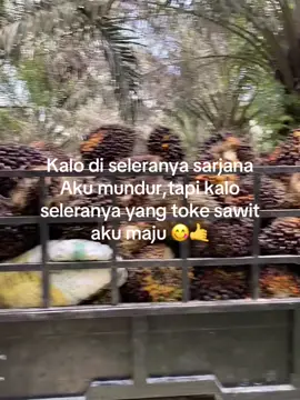 Cihuy#sawitontiktok #fyb #xybca #viralditiktok #riau 