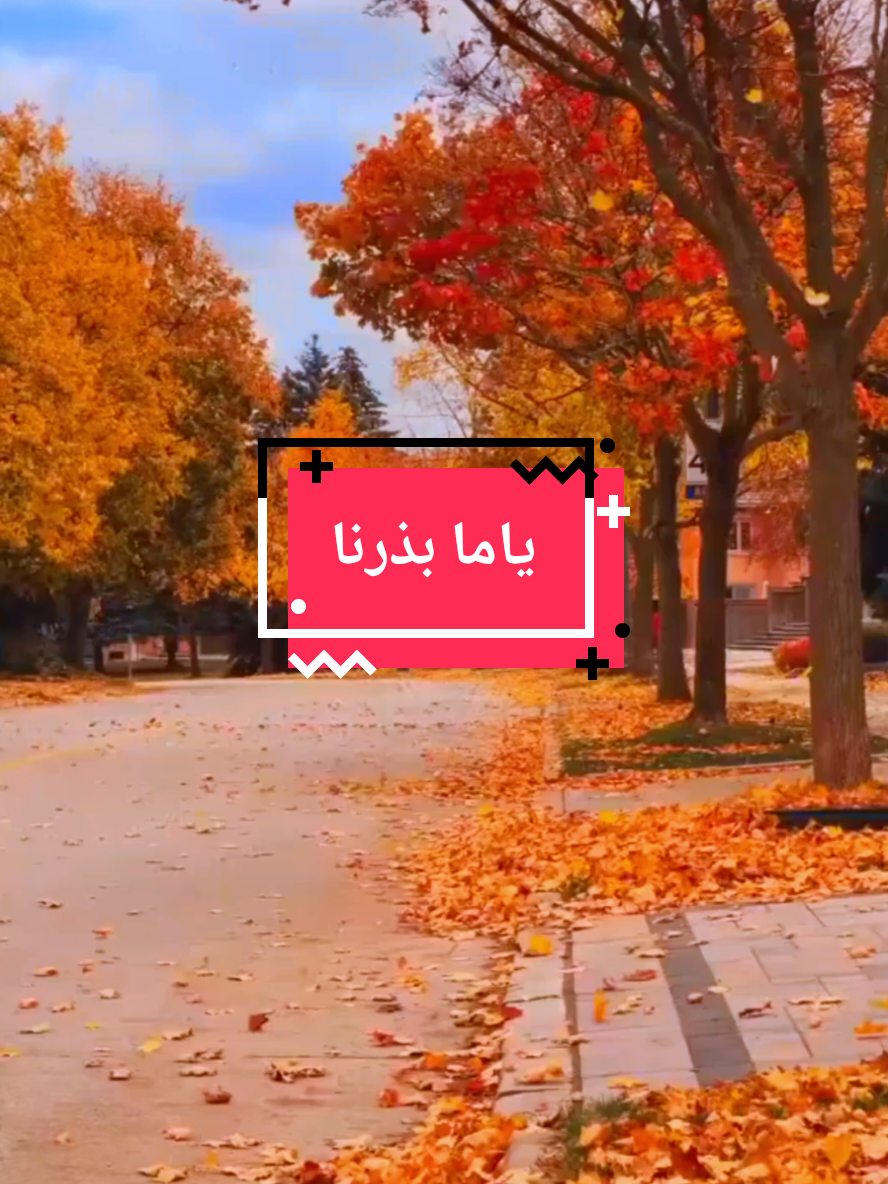 ياما بذرنا الطيب في راعي الطيب  #قصيده_شعر #حروف مبعثرة 