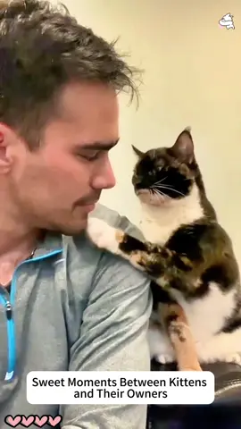 Sweet moments between kittens and their owners ❤️❤️#cat #catsoftiktok #baby #sweet #Love 