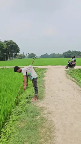 #creatorsearchinsights ####pleasegoviral ###shortfunnyvideo ####foryoyu ###