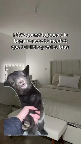 Réaction 100% réaliste #meme #memes #funny #couplegoals #goat 
