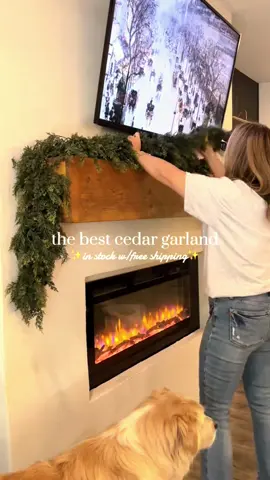 Lush Artificial Cedar Garland 72