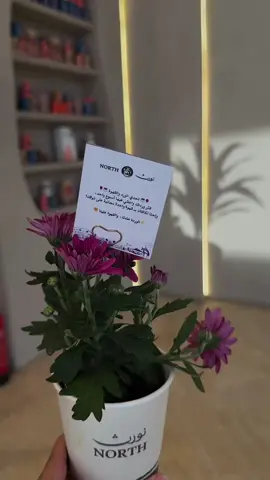 فعالية نورث االورده عندك والقهوه علينا 🧡💜 حبيت الفكره 😍 #نورث #مقاهي_الطايف #ورد #كافيهات_الطايف #fypシ゚ 