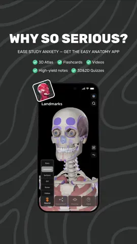 Why so serious about exams? 😅   Ease your study anxiety with Easy Anatomy:   ✔️ 3D Atlas   ✔️ Flashcards   ✔️ Videos   ✔️ High-yield notes   ✔️ 3D & 2D Quizzes   Download now & study smarter!   #anatomy #usmle #medschool #EasyAnatomy #MedTok   