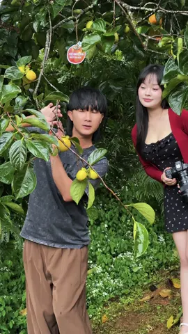 Tạo dáng chụp ảnh vườn hồng cho bạn nữ xinh đẹp 😍 #thochupanhdalat #liemdalat #chupanhvuonhongdalat #tiemcaphenhangoai 