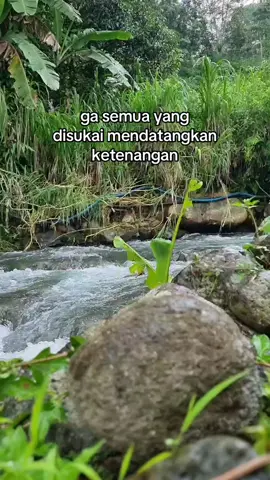 Yang disukai belum tentu membawa ketenangan #fyp #ciamis #wisataalam #ciamisjawabarat #cireong #sungaicireong 