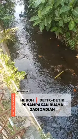 HEBOH❗ DETIK-DETIK PENAMPAKAN BUAYA JADI JADIAN. Rabu (10/09/2025) pada pukul 13:45 seorang warga di hebohkan oleh kemunculan buaya yang di duga buaya jadi jadian,menurut saksi yang melihat buaya itu muncul ketika videonya sudah di edit  #viral #beritaviral #beritatiktok #berita #fyp 