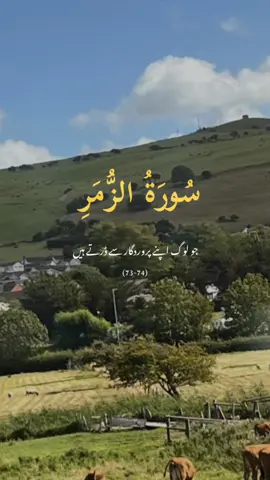 #CapCut #ALLAH #Quran #viral 