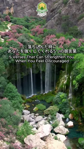 落ち込んだ時にあなたを強くしてくれる5つの御言葉 5 Verses That Can Strengthen You When You Feel Discouraged ラーイラーハイッラッラー Japan is home to a growing Muslim Community 🇯🇵日本文化にイスラム文化を調和する “Harmonizing Japanese culture with Islam” Follow us on イベント情報やメディア情報の配信 https://linktr.ee/japan.dawah.centre Follow us onライングループ https://line.me/ti/g/NHtHzxWXsv センターへの問い合わせはこちらまでです。  https://forms.gle/Rt61Z1BvpHgPdK838 ジャパンダアワセンターでは引き続き、 日本人の皆様にとって、日々の糧になるような情報を届けたいと思います！