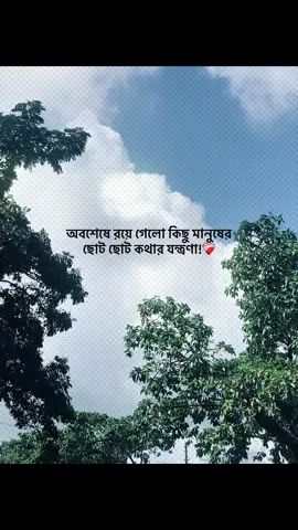 অবশেষে রয়ে গেলো কিছু মানুষের ছোট ছোট কথার যন্ত্রণা!❤️‍🩹 #foryou #banglacaption #sadcaption #emotionalvideo #fyp 