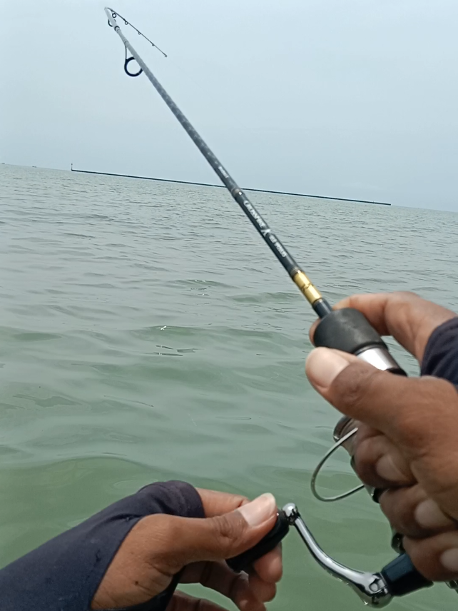 strike ikan enak - - #mancing #fyp #casting #pelabuhankendal #daiwa 