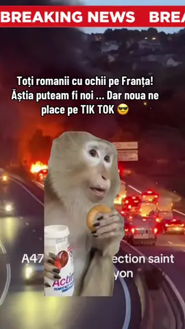 Ăștia puteam fi noi! Franța ROMÂNIA #fypromania #diasporatiktok #franta #protest #france 