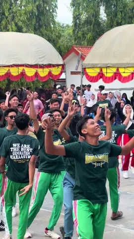 Pancene opo