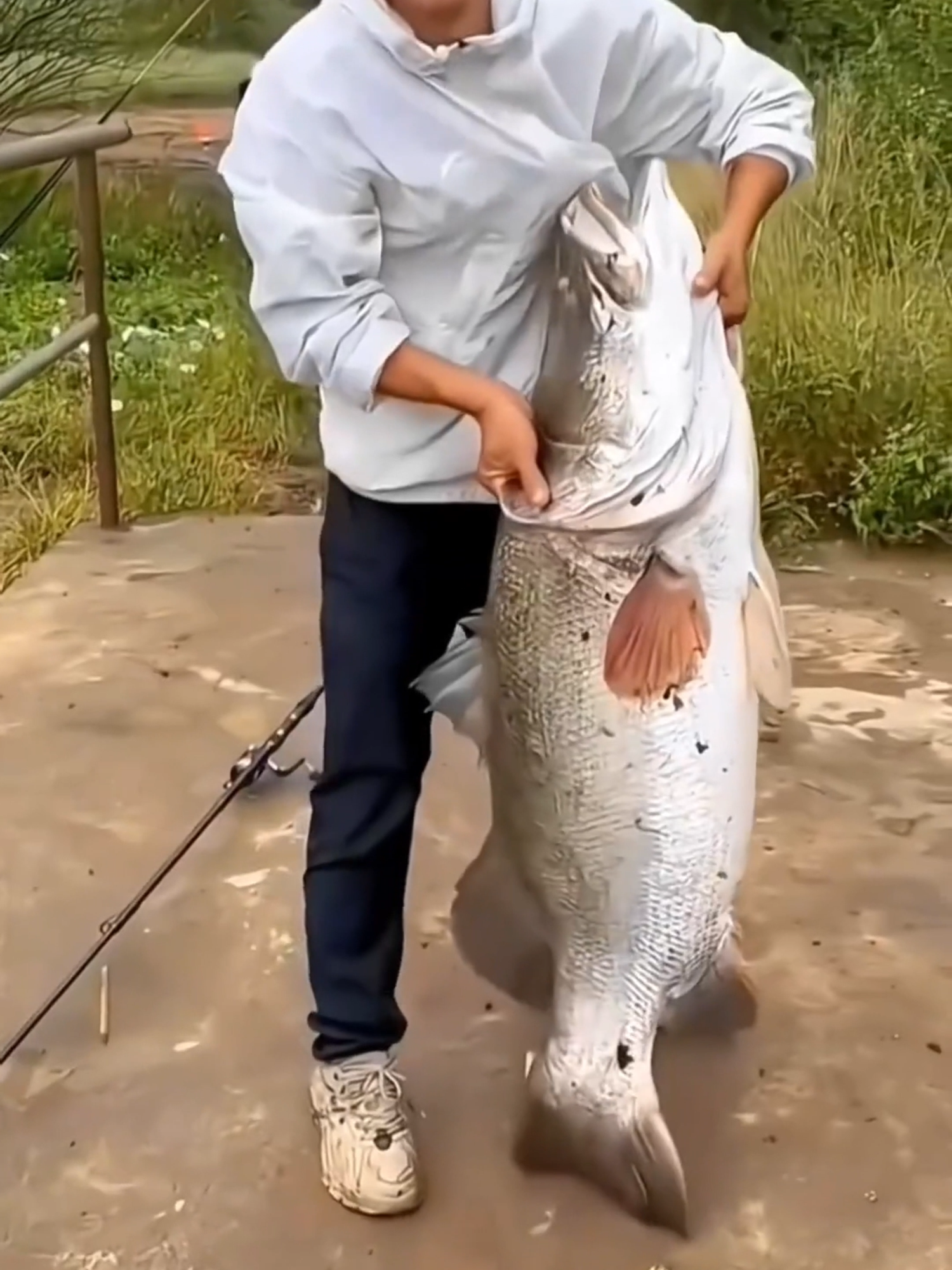 Khi đập thủy điện xả cá