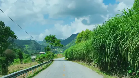 Ngày hôm qua anh chợt mang nắng tới #nhachaycanhdep🌅🍀 #fyp #xuhuong 