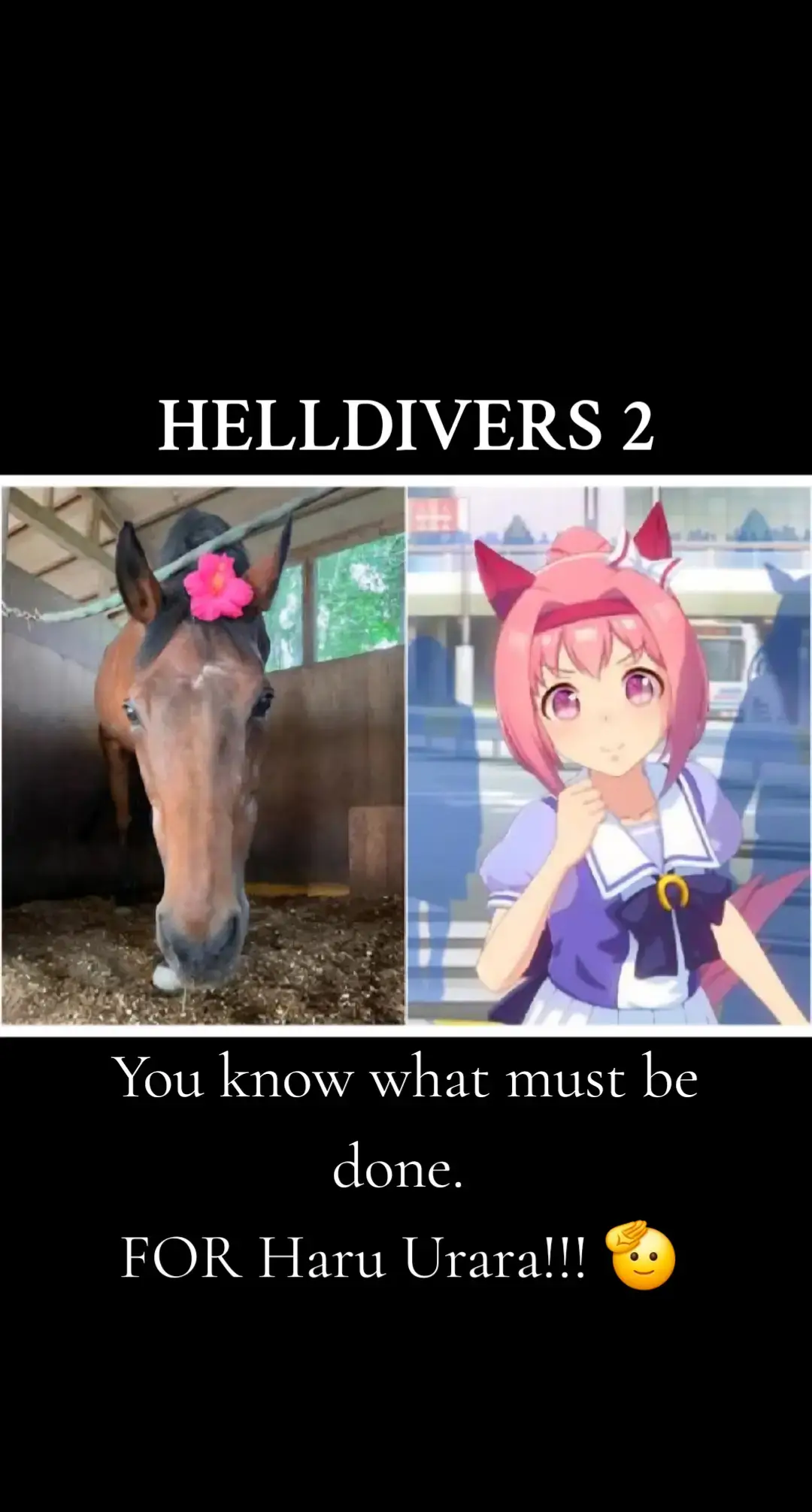 Symbol of perseverance and tenacity! 😭😭😭❤️❤️❤️🫡🫡 #helldivers2 #helldivers2fyp #rip #haruurara #horse @Arrowhead Game Studios 