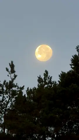 #moon #sky #morning #dayinmylife #light 