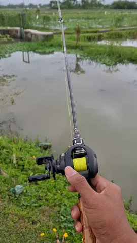 full banjir..🌊#mancingkocolan #zingxdc #castingfishing🎣 #pemburukocolan #gabus 