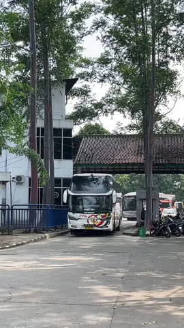 Npm atau Miyor gaesss??? Keren semua kacawww🤩🤩🤙#storybus #fypbus #busmaniacommunity #bismaniaindonesia #huntingbus #videobus #busakap #fyppppppppppppppppppppppp #sumbarpride #bussumbar #bismaniasumbar #npm #npmmania #miyor #miyorprimaabadi #sawahluntopride #lintassumatra #sumbarfyp @OFFICIALMIYORGROUP 