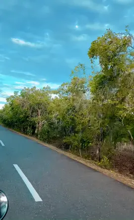 🥀🥀 #fyppppppppppppppppppppppp #laguaceh #lagu #fyp #fypシ゚viral 