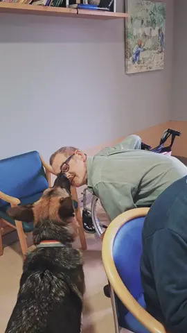 Te queremos con limón, con sal y con todo ❤️‍🩹🐶. #perros #terapia #terapeuta #perrostiktokers ##residencia 
