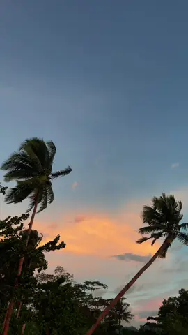 🙌🏻 >>