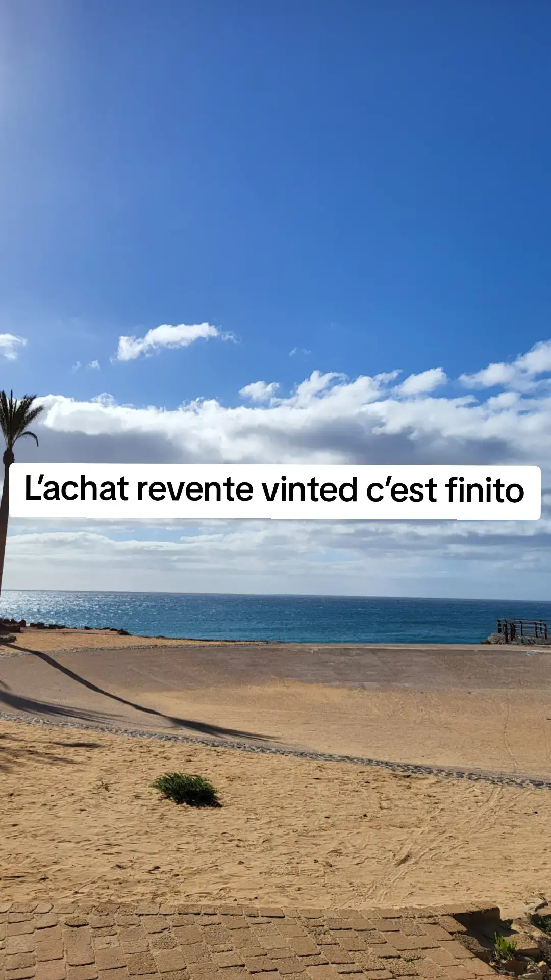 #vinted #resellvinted #revente #flipfr #businessenligne