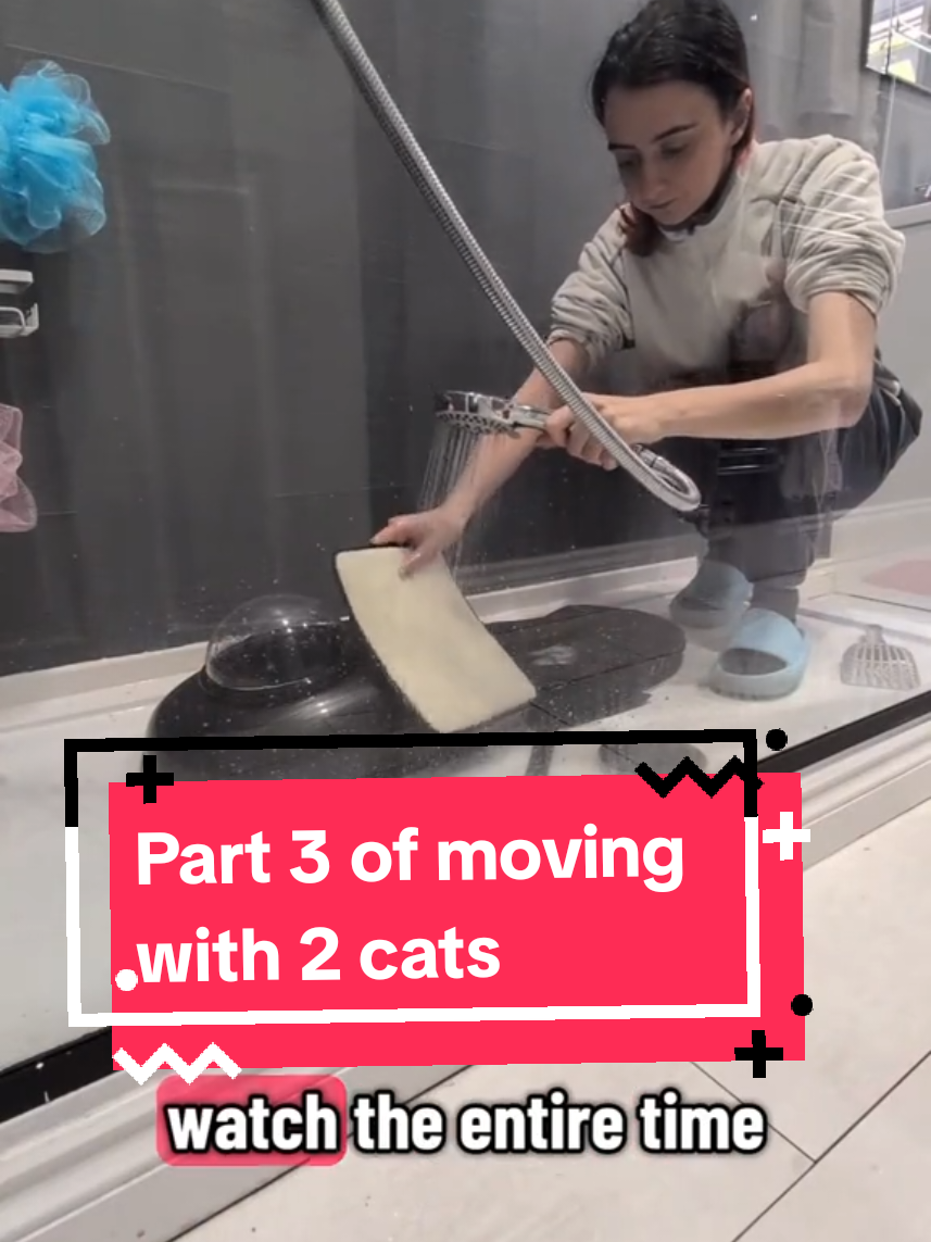 This carrier will end up only being used for the move and then for vet visits as Cloud hates the outside SO MUCH.   #cat #cats #moving #catlover 