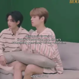 silly little puppy #skz #straykids #seungmin #kimseungmin #creatorsearchinsight 