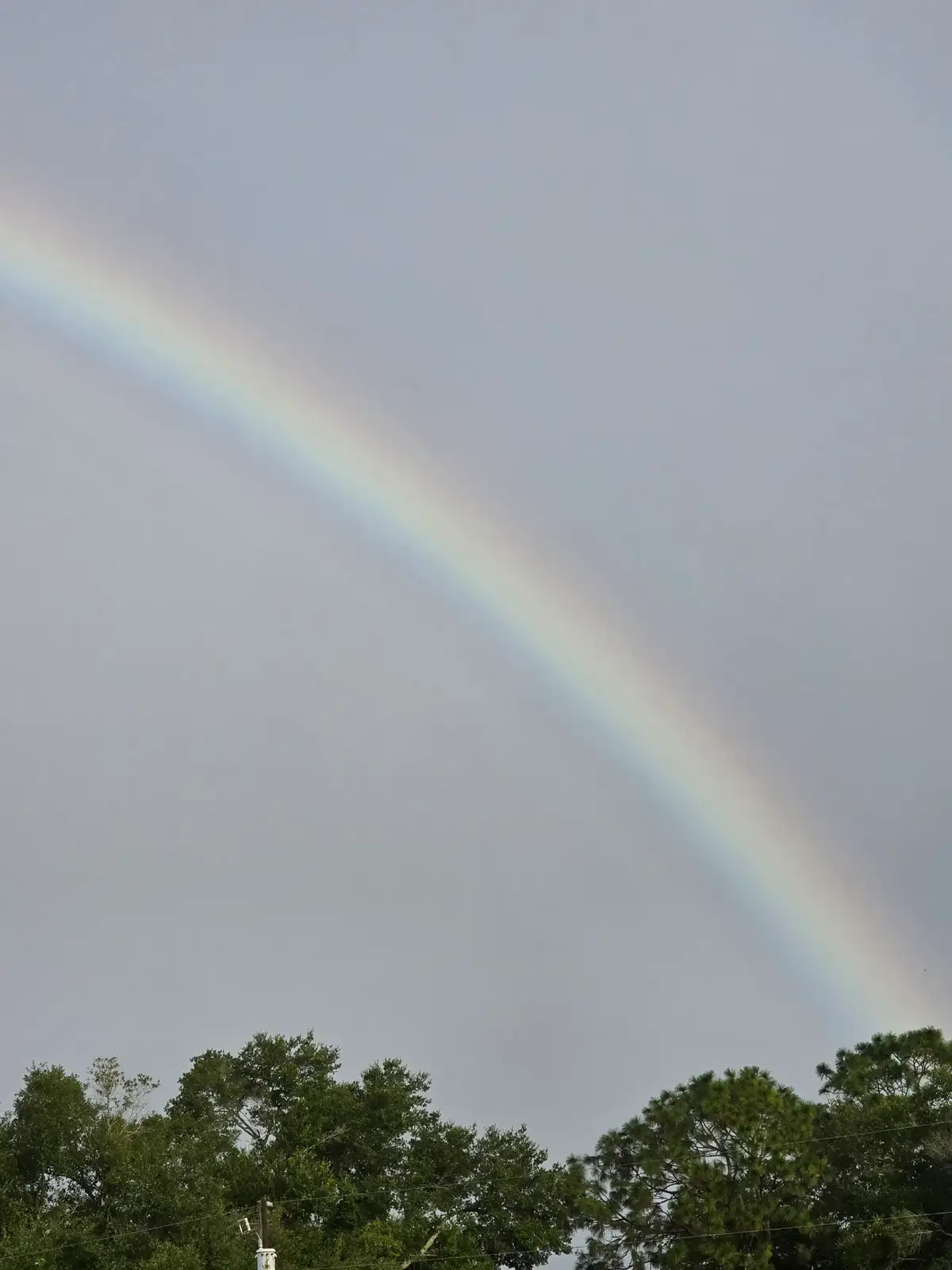 good morning rainbow 🌈 ✨️  #rainbow 