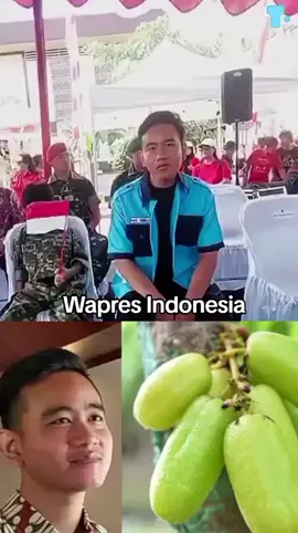 #viraltiktok #fypppppppppppppp #fyppppppppppppppppppppppp 