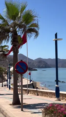 #houceima 
